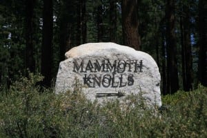 Mammoth-Knolls
