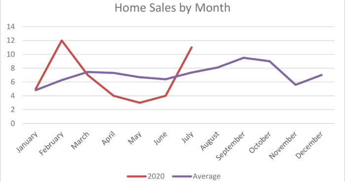 Home Sales Activity Mammoth Lakes