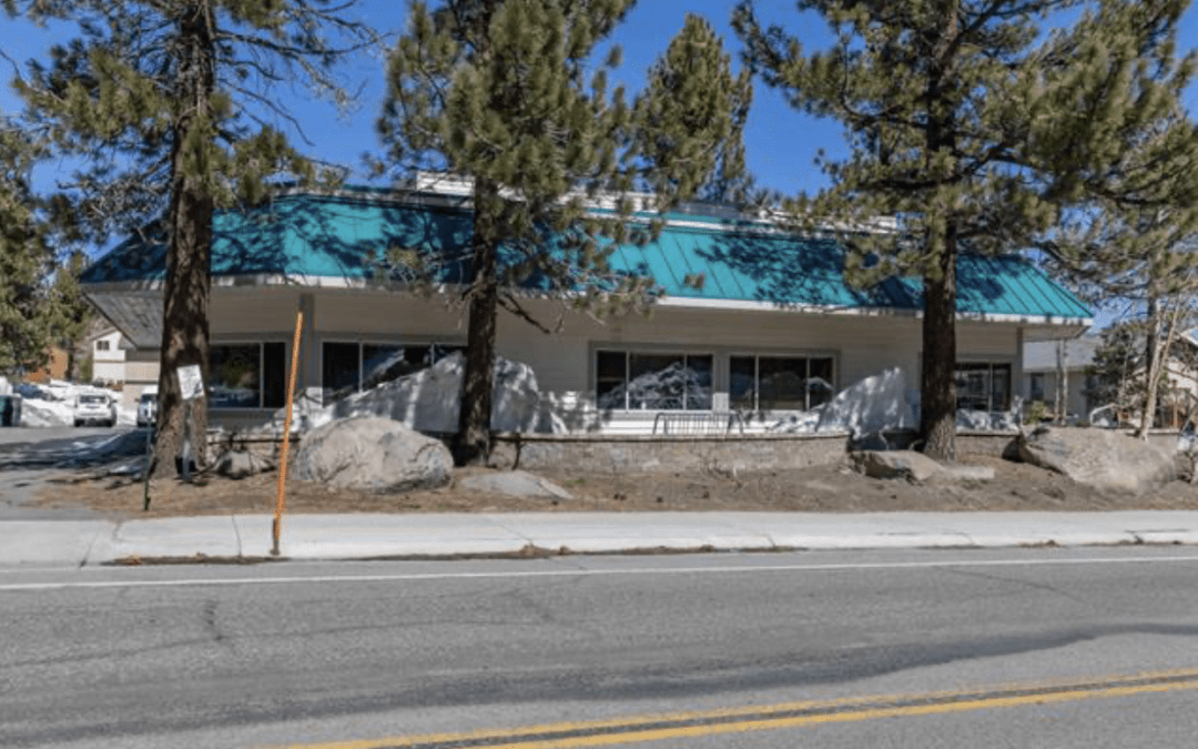 Market Report 2022: May 2022