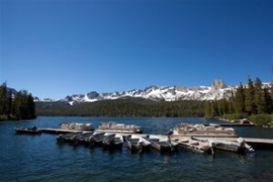 Pokonobe Lodge
