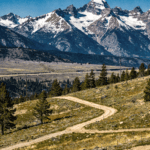 Mammoth Lakes Real Estate