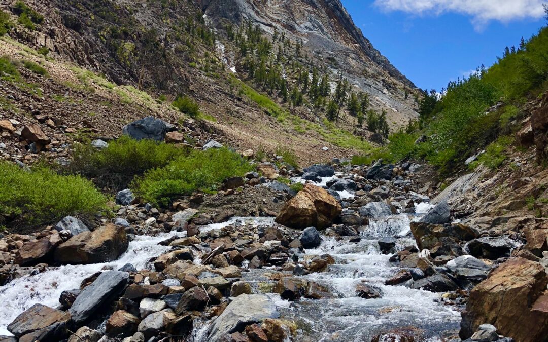 Why We Love Living in Mammoth Lakes 2026