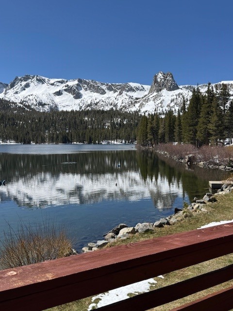 Fishmas in Mammoth: Opening Day of Fishing Season